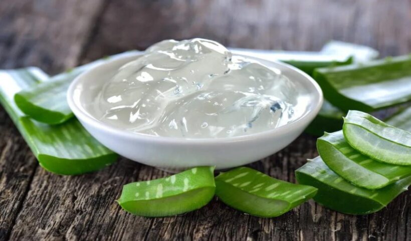 Aloe Vera Gel